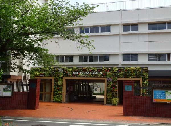 新渡戸文化中学校・高等学校