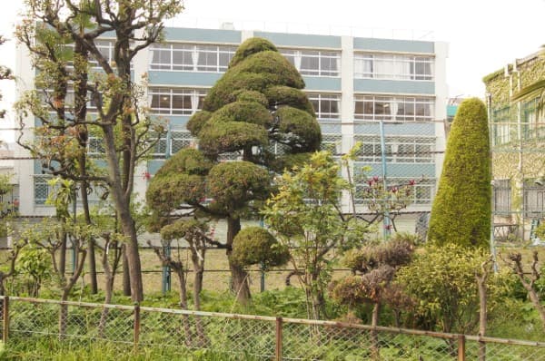 成女学園中学校・成女高等学校